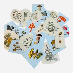 Nature Mushrooms and Flowers Stickers Lot 30